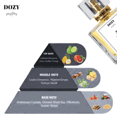 Dozy 001- Impressed by LV Imagination
